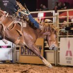 0148Rod17SabAmericana17FotoPerigo 150x150