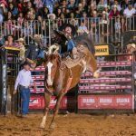 0193Rod18DomAmericana17FotoPerigo 150x150